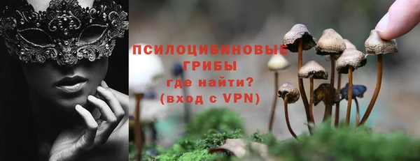 герыч Арсеньев
