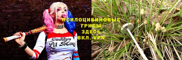 герыч Арсеньев