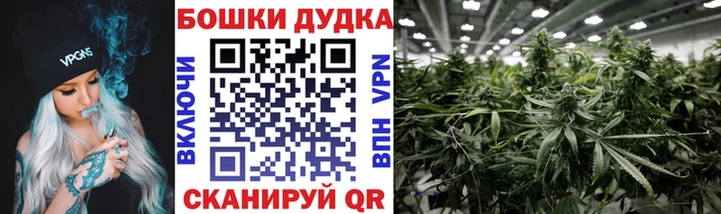 Конопля планчик  хочу наркоту  Макарьев 